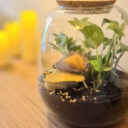 Coocon - Coeur De - Terrasse Lägenhet Nîmes